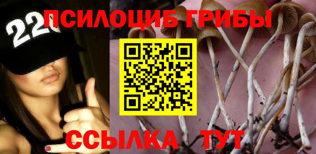 Псилоцибиновые грибы Psilocybine cubensis  Вход с VPN  Удомля 
