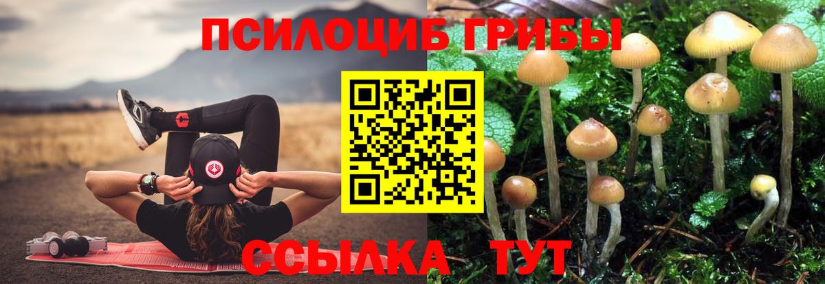 Галлюциногенные грибы MAGIC MUSHROOMS Удомля